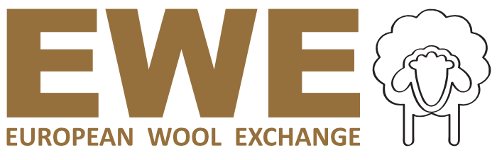 EWE Foundation