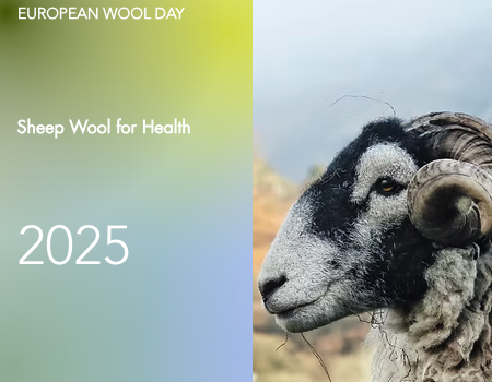 Flyer EWD-2025
