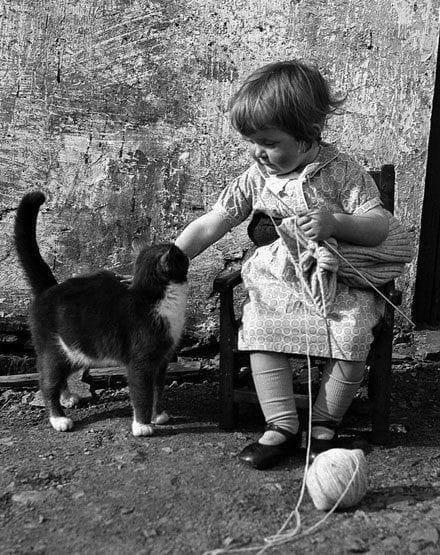 Little child knitting and playing with a cat.