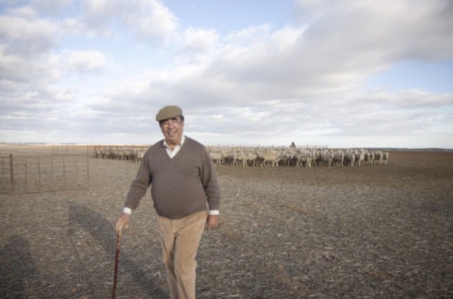 Ricardo and his flock in Cañizal