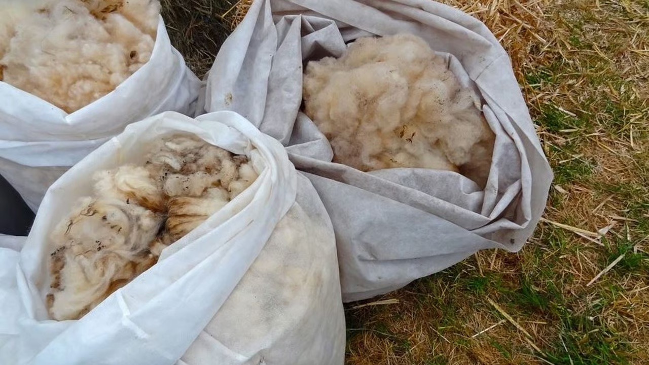 Support for wool in the EU